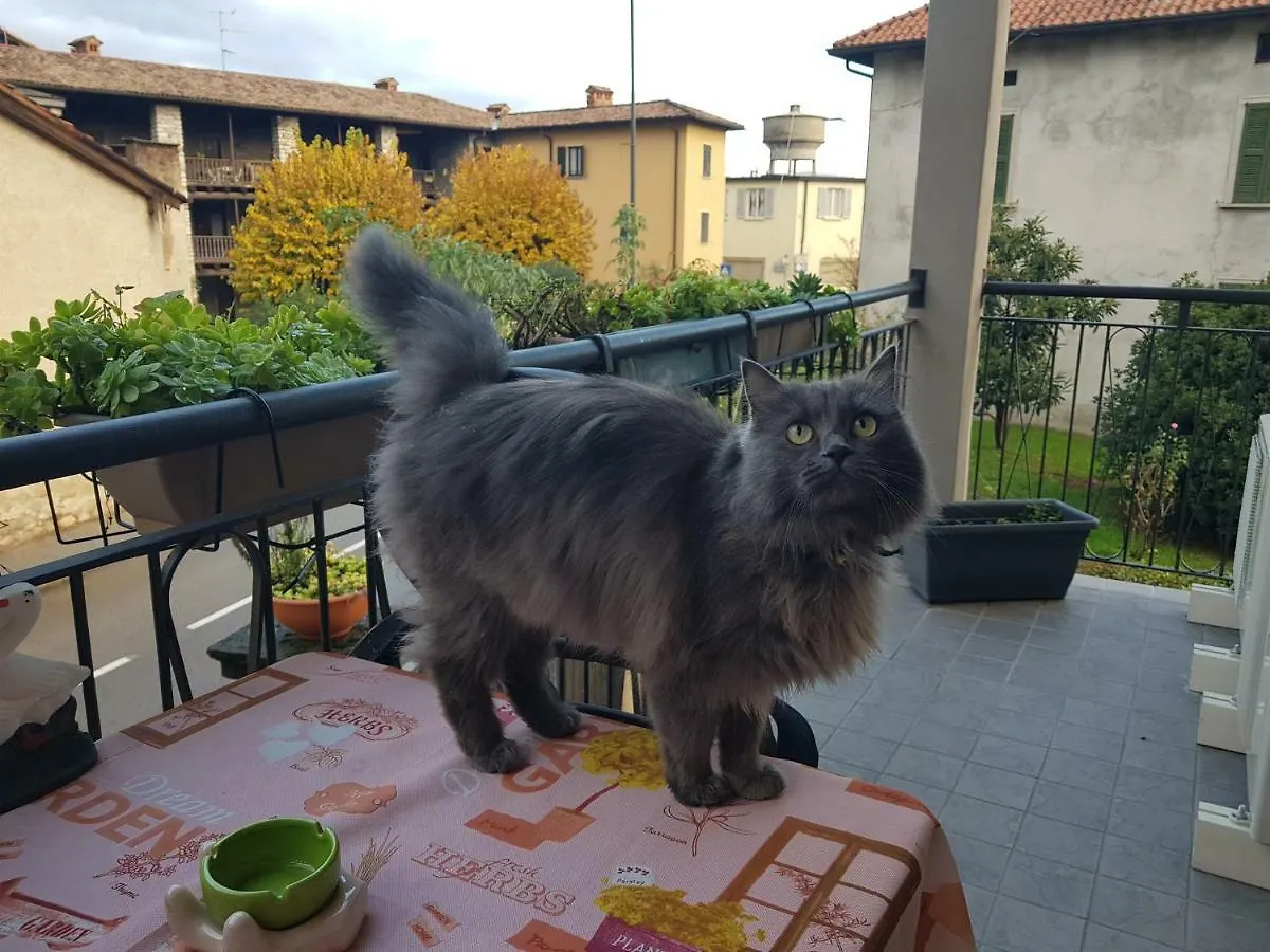 Guest house Affittacamere Erbagatta Italy